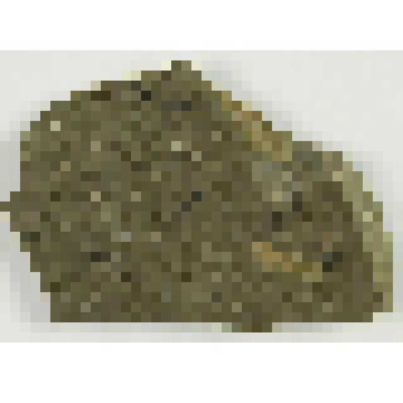 Ракообразные. Crustaceomorpha. Отпечаток