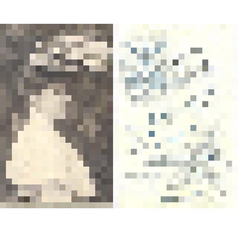 Портрет молодой дамы