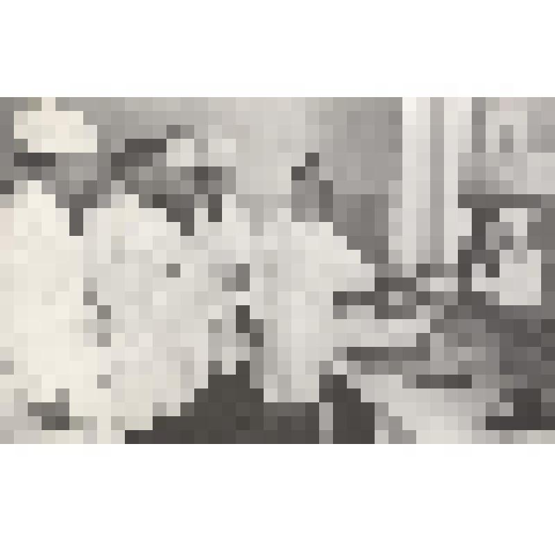 Фотография. Занятия с врачами-рентгенологами в 1-й областной клинической больнице