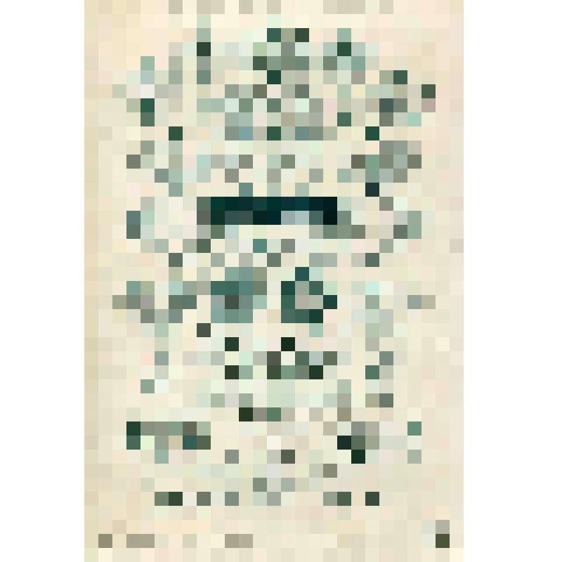 Фотография. Асаф Иванович Баранов (1834-1906), александровский купец, основатель Соколовской мануфактуры в д.Струнино