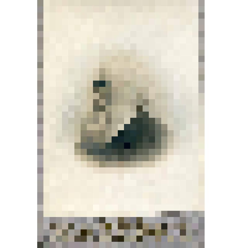 Фотография. Асаф Иванович Баранов (1834-1906), александровский купец, основатель Соколовской мануфактуры в д.Струнино