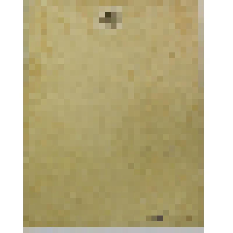 Мужской портрет