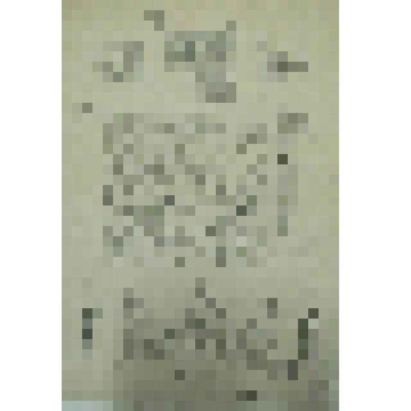 Орнамент. Инициалы и фрагменты декора. Рисунок