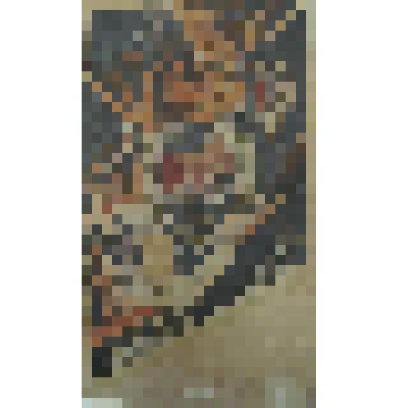 Орнамент. Бутоны экзотических цветов. Рисунок