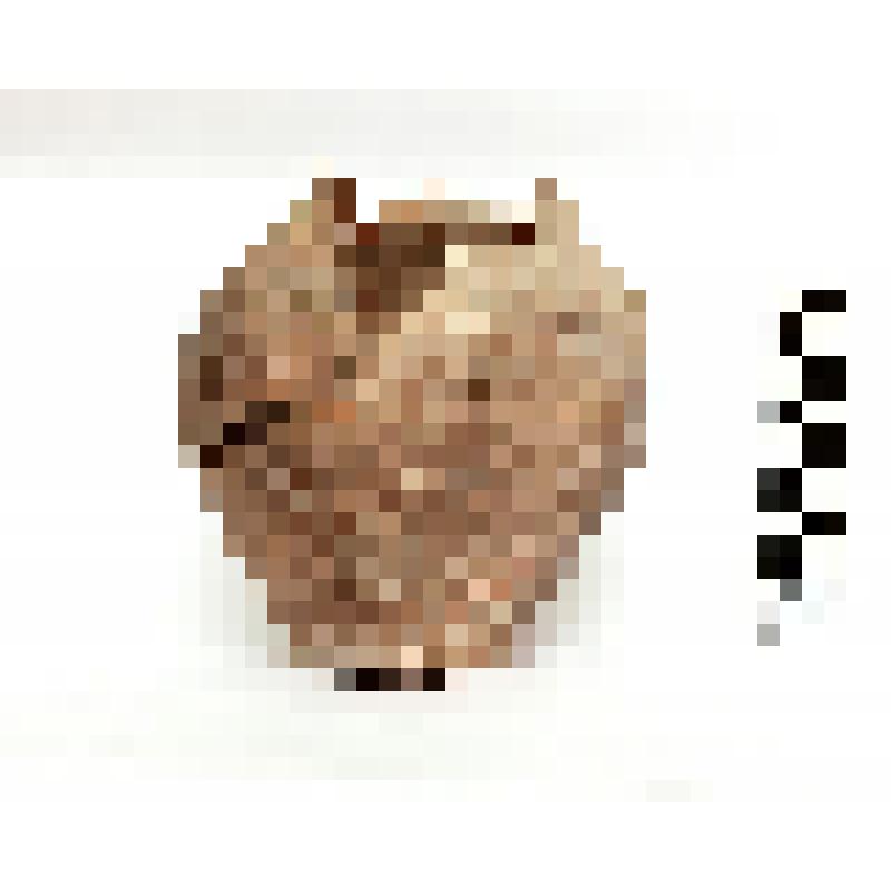 Сосуд Мх.-96 Я.-97