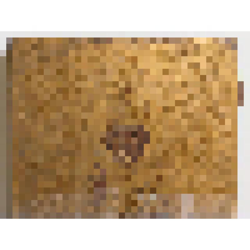 Икона "Николай Чудотворец"