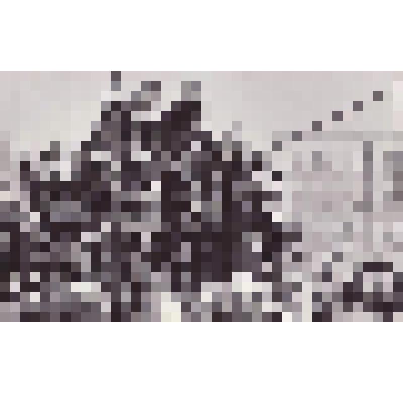 Фотография черно-белая. Дети на танке во время парада Победы в Братске