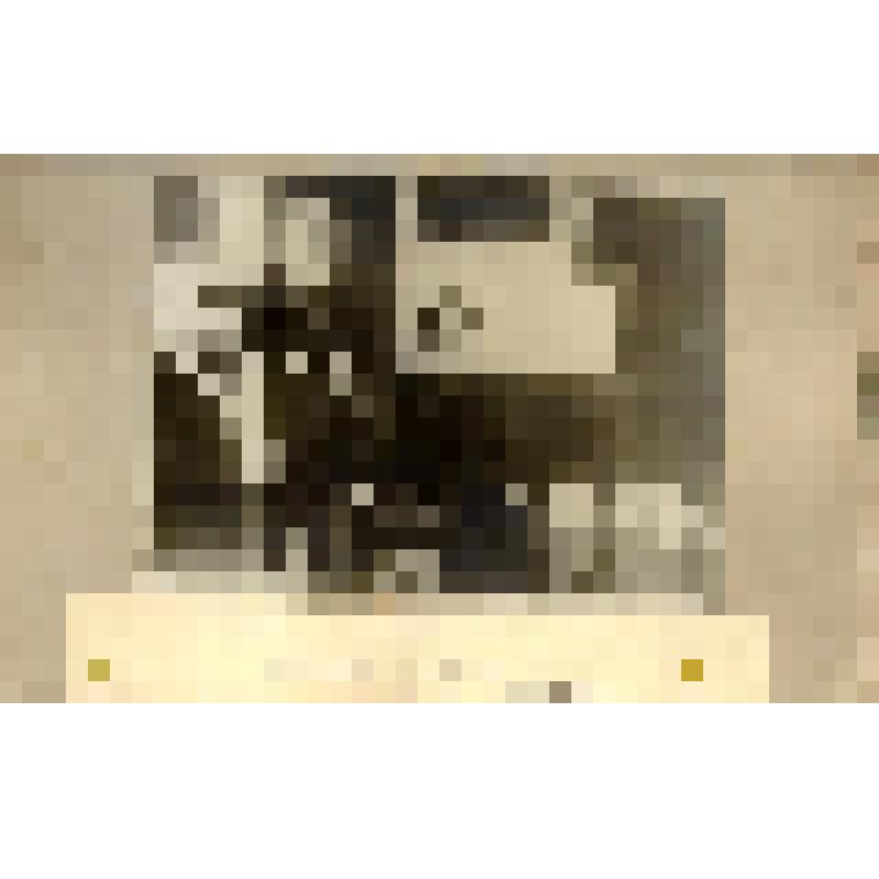 Фотография. Ландовска Ванда у Л.Н.Толстого в Ясной Поляне