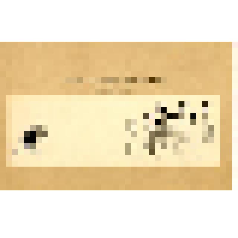 Открытка. "Литературный хулиган. (г.Буренин")"