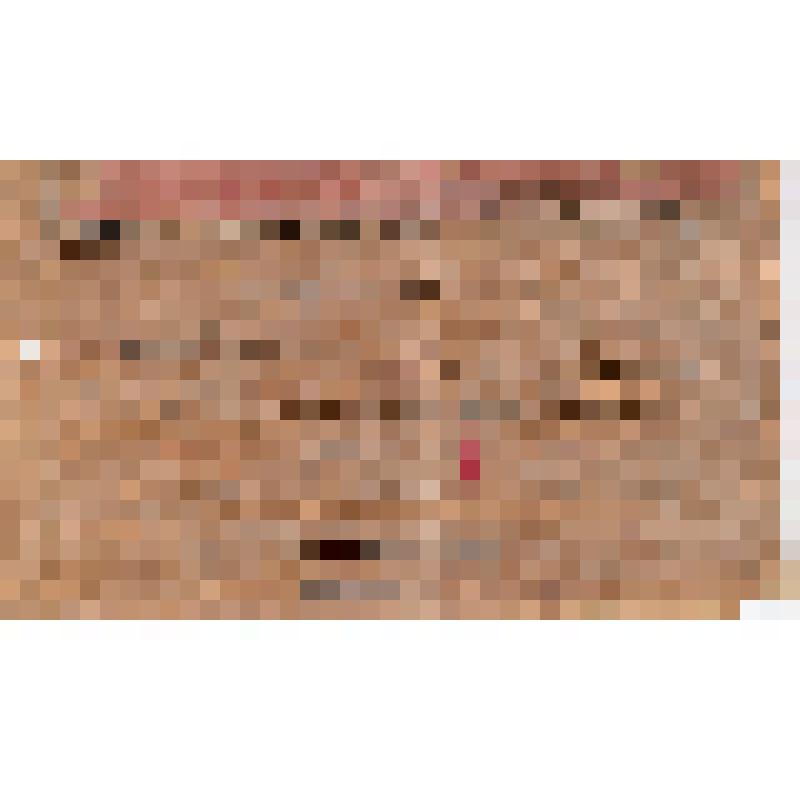 Билет N 12 делегата XII Тамбовской уездной конференции РКП(б) т. Ефимова И.А