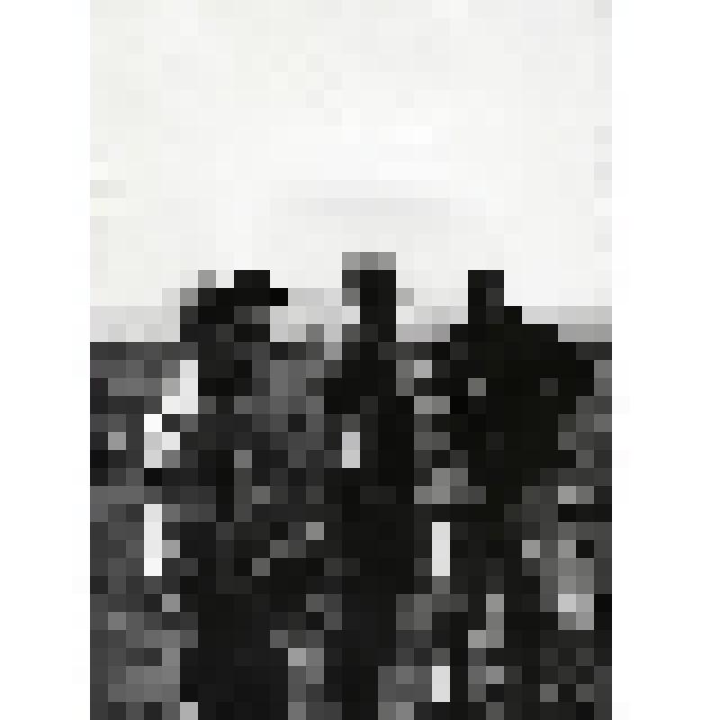 "Интервью , уч-к Эльвенейвеем, август 1967 года". Фотография черно-белая