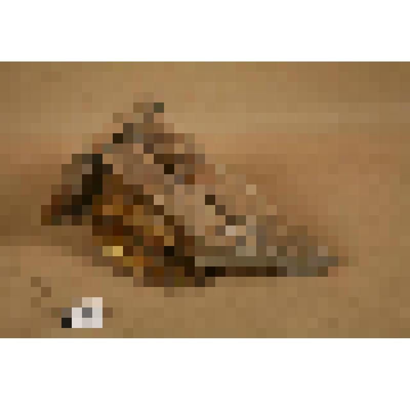 Кронштейн-консоль от иконостаса