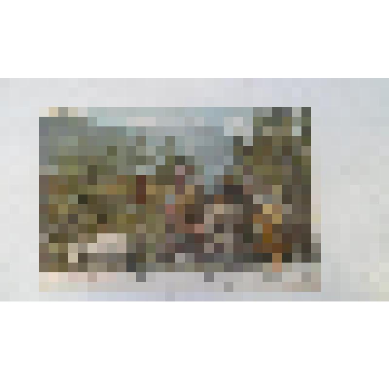 Открытое письмо. Берег у стана рыбаков