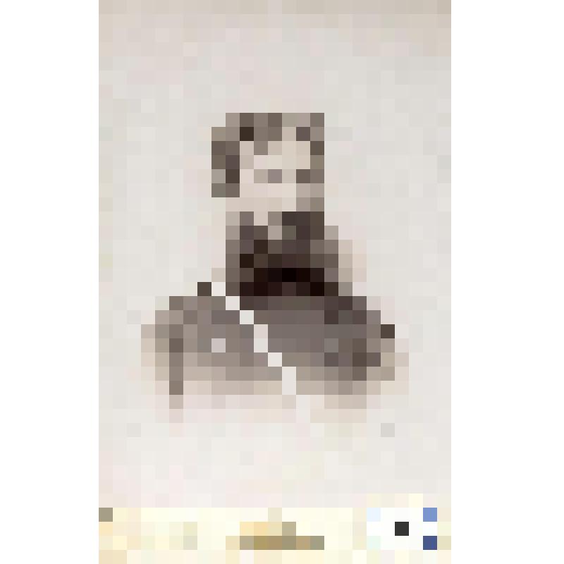 Фотография черно-белая. Зарако-Зараковский Иван Иванович