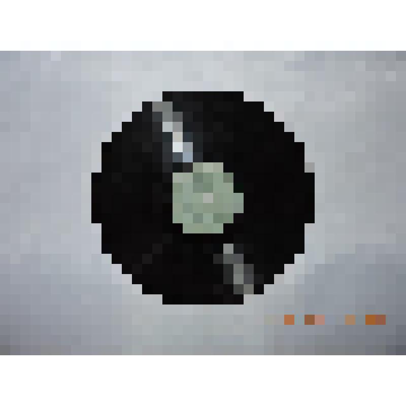 Грампластинка: Туликов «Уезжал я в армию»