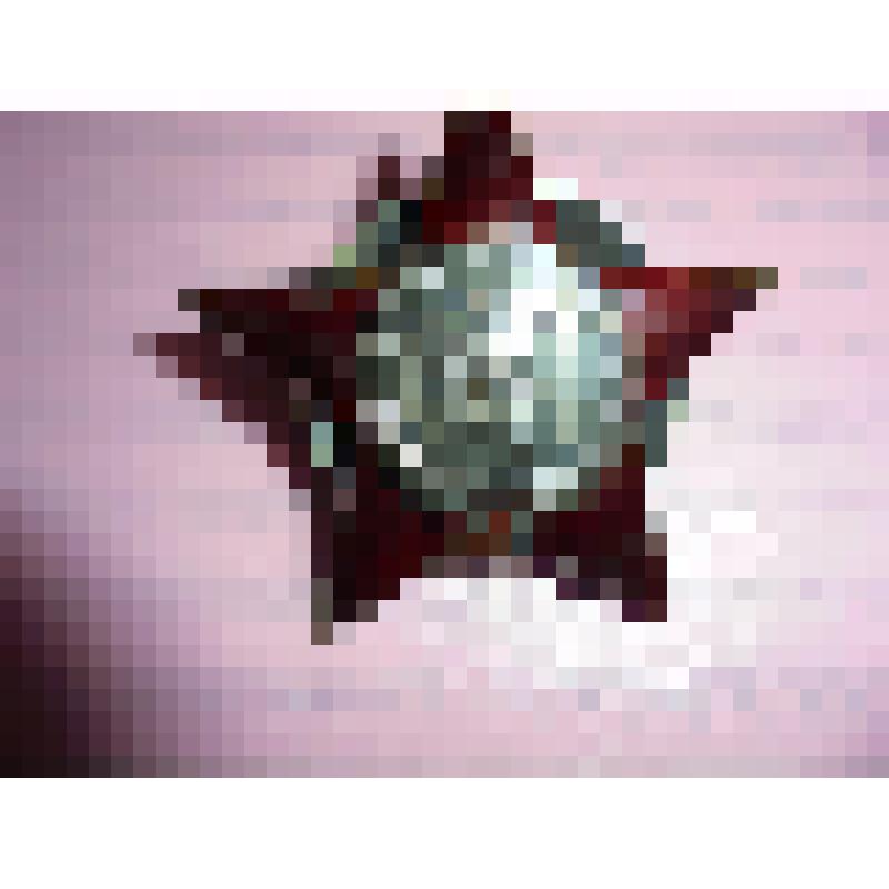 Орден " Красная Звезда"   Ишмуратова Хакима Харрасовича