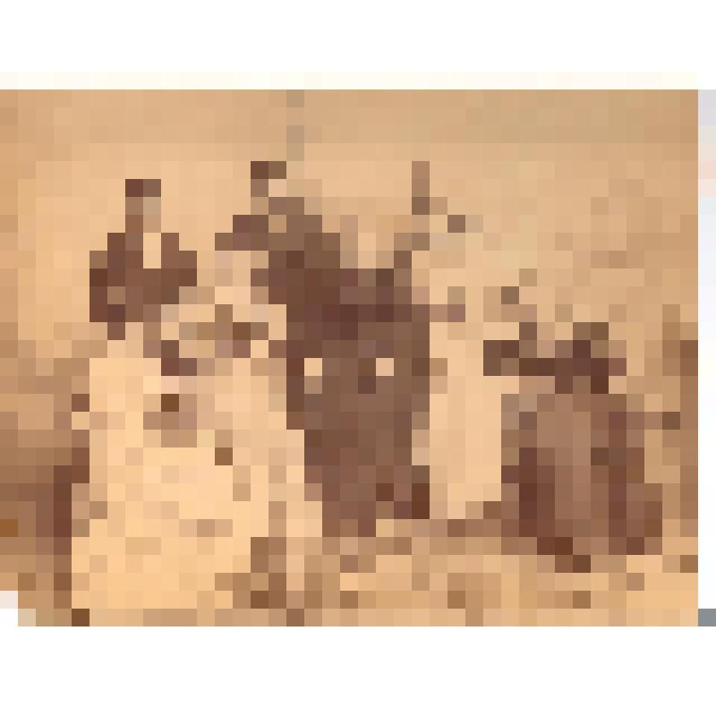 Фотография "Групповой портрет жителей Нахичевани-на-Дону"