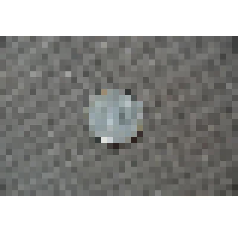 Монета номиналом 5 афгани