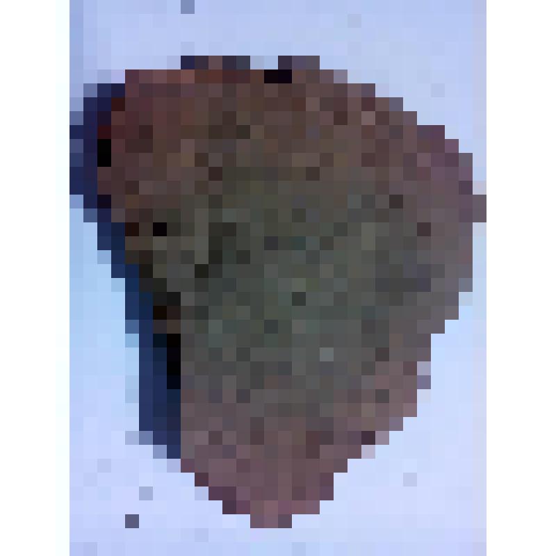 Фрагмент сосуда