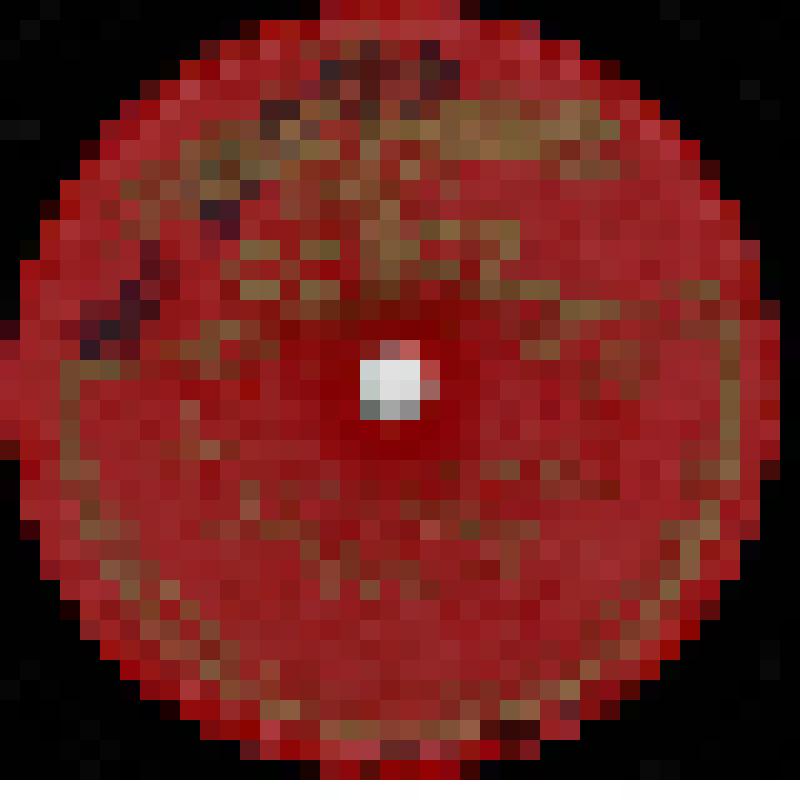 Грампластинка  "Вечер в парке" -  "Вдоль деревни", исп. М.В.Михайлов