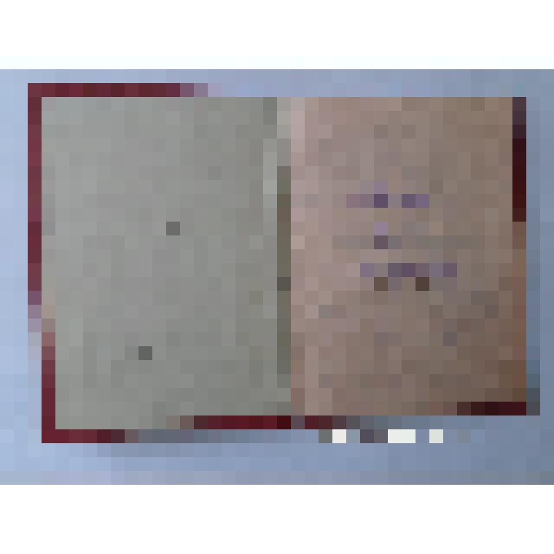 Удостоверение Левиной Е.Ф