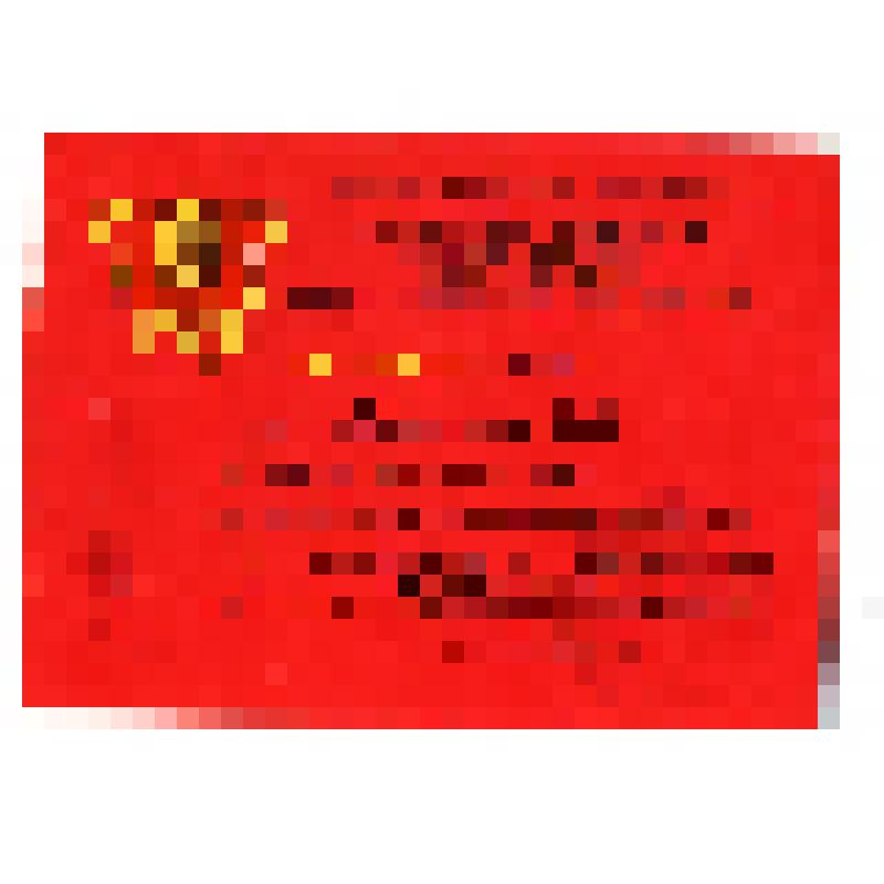 Документ. Мандат № 379 Омской городской организации ВЛКСМ Палицыну С.В., делегату XXXI городской отчетно-выборной комсомольской конференции от комсомольской организации Первомайского района г. Омска. СССР, Омск, 1980-е гг