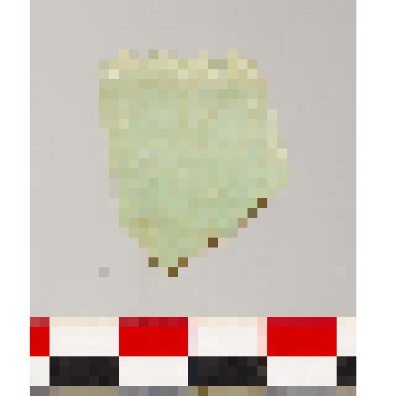 Сосуд кашинный. Водянское городище