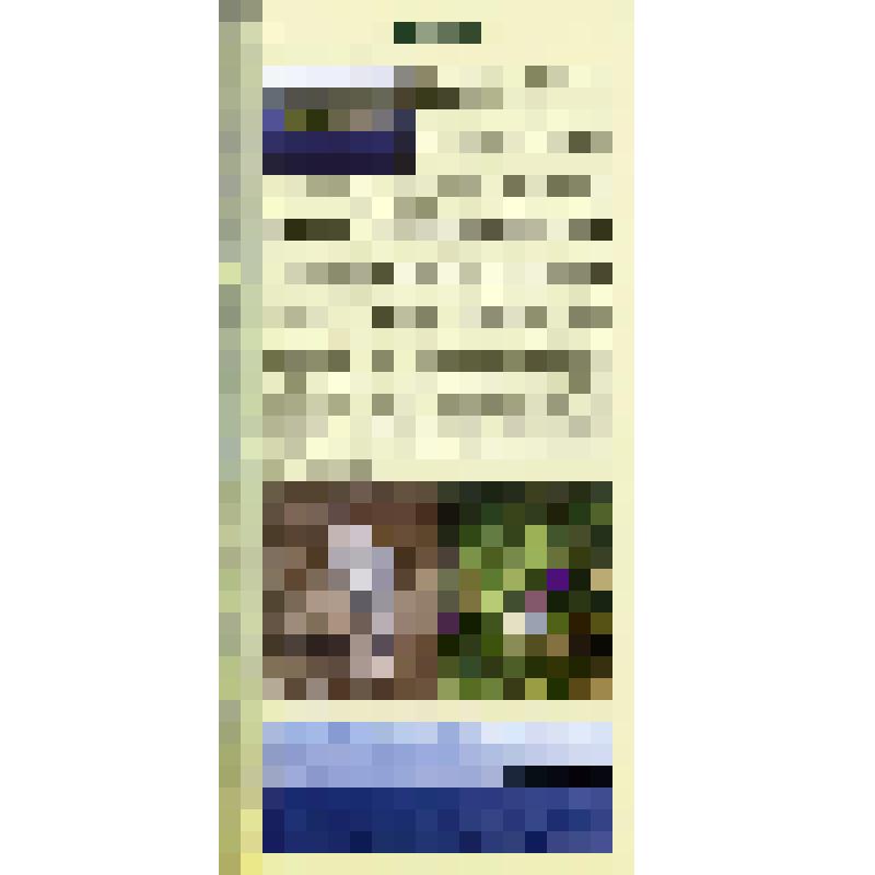 Вкладыш "Зеленая роща" из буклета "От Мариинки до Волго-Балта. Природное наследие" Издательский дом "Вологжанин", 2010 г