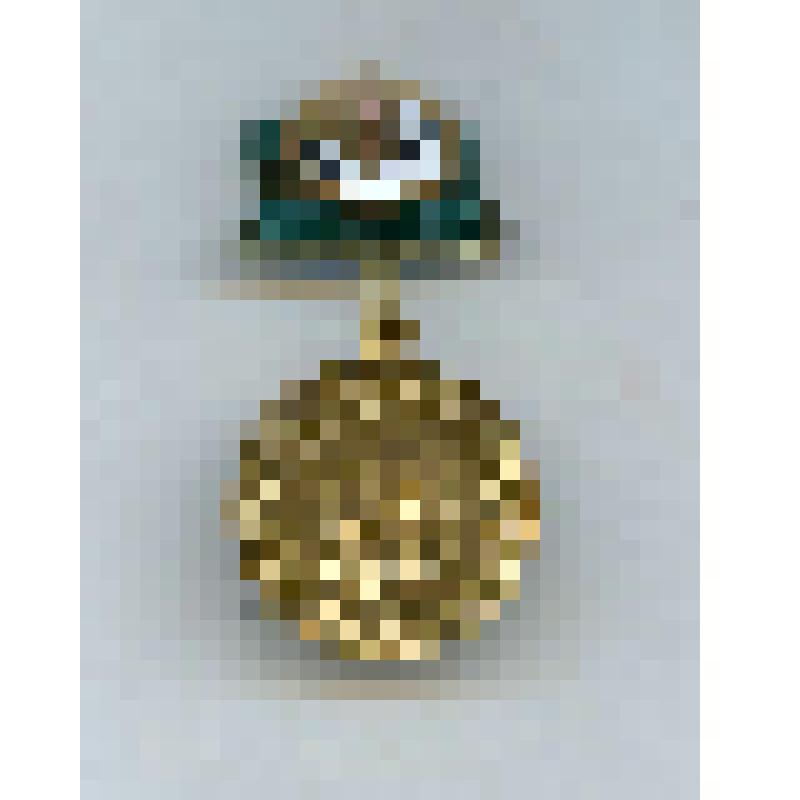 Памятный знак участника всесоюзной сельскохозяйственной выставки