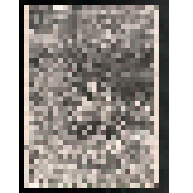 Фотография: Ощепкова Регина Павловна – дочь Ощепкова Павла Кондратьевича