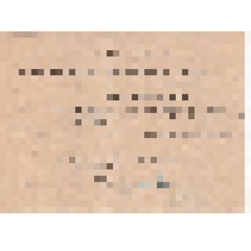 Протокол N 3 заседания комиссии по чистке партячеек института мозга и института переливания крови