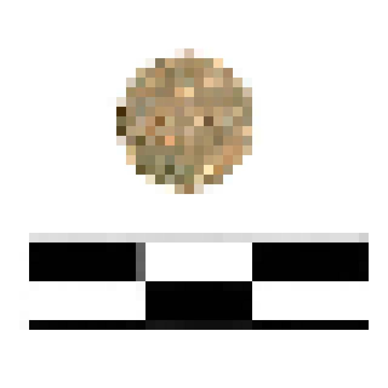 Монета 2 копейки