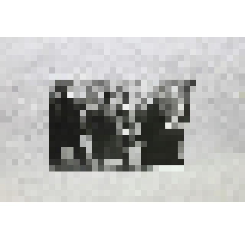 Фотография ч/б. Колонна на демонстрации