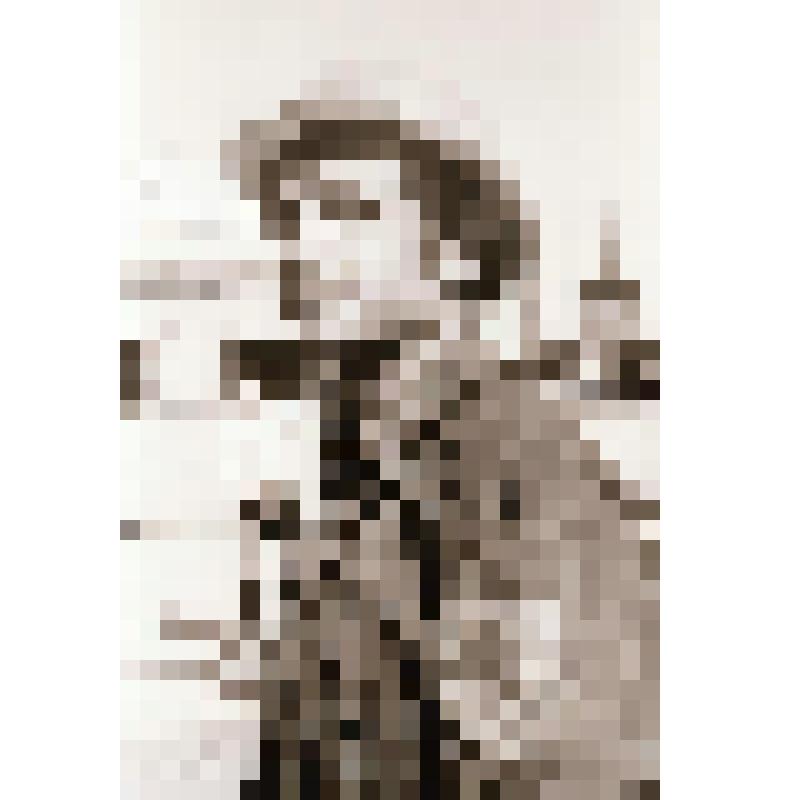 Фотонегатив  сюжетный. Шарлаимов Ф.П.- бригадир монтажников КМУ-2 треста Дальтехмонтаж, лучший монтажник на строительстве комплекса "Сталь" на Дальневосточном  передельном металлургическом заводе г. Комсомольска-на-Амуре