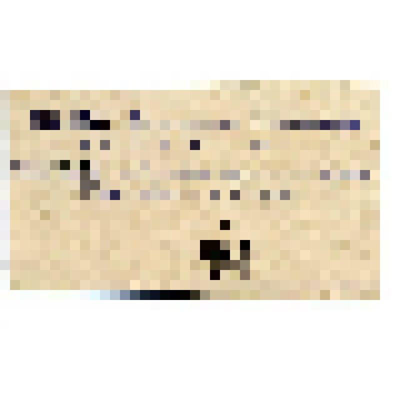 Бумажный денежный знак. Бон Государственного Института Физического Образования им. П.Ф.Лесгафта. 10 копеек. СССР