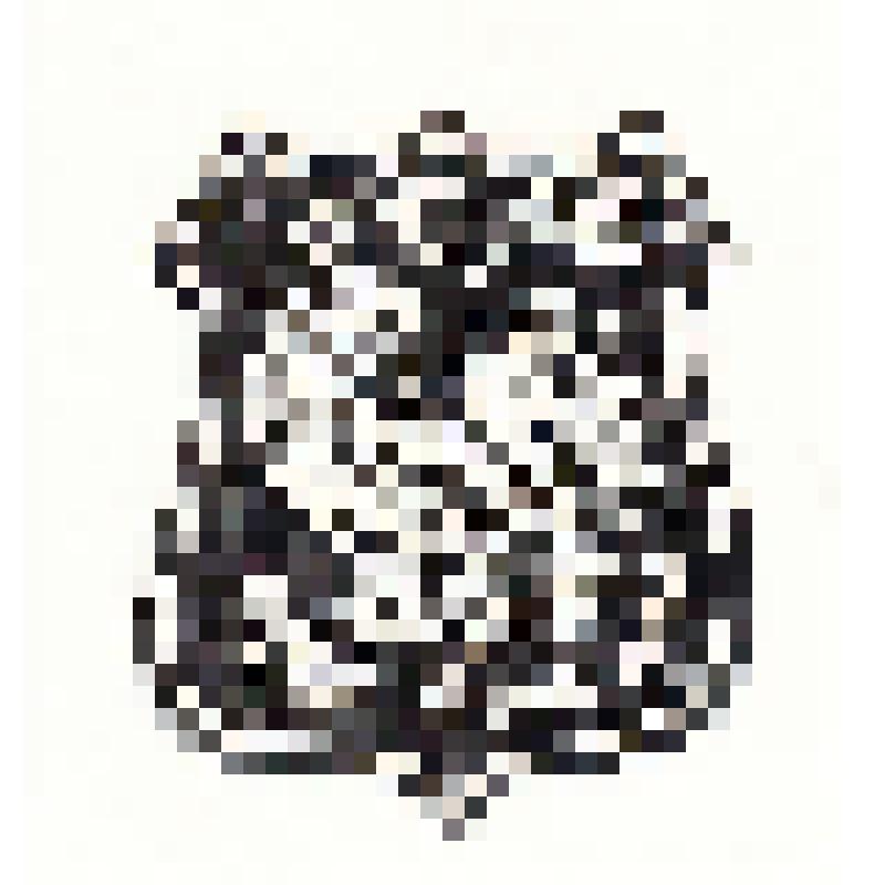 Экслибрис "Ex Libris В. Аверихина"