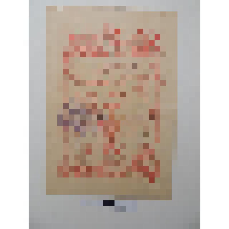 Благодарность Копылову Николаю Михайловичу объявлена за наступление на Берлин и прорыв группировки немцев прикрывавшей Берлин