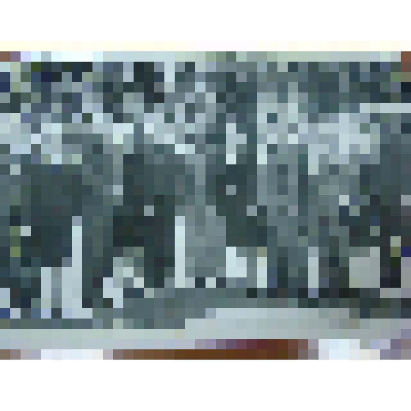 Фотография Журавлева Т.М., Лазарев В.Г. на комбинате г. Барнаул