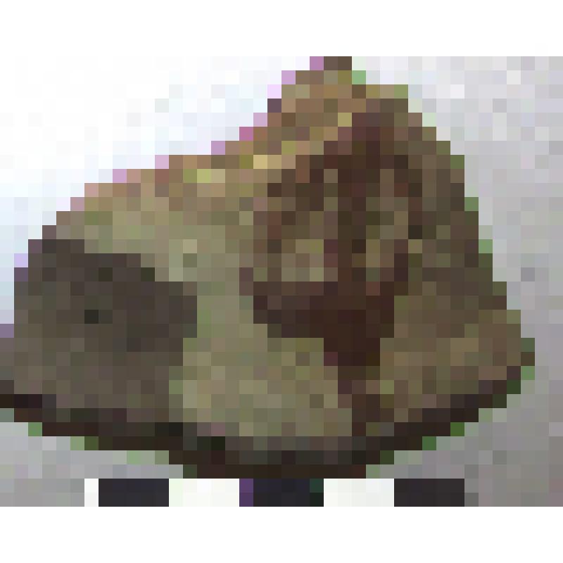 Фрагмент нижней части горла амфоры типа D с дипинто