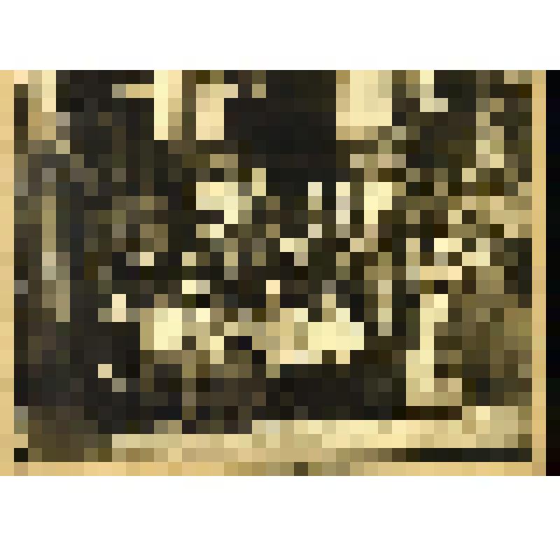 Фотография. Артисты Александринского театра на летних гастролях в Красносельском театре. Санкт-Петербург, Александринский театр