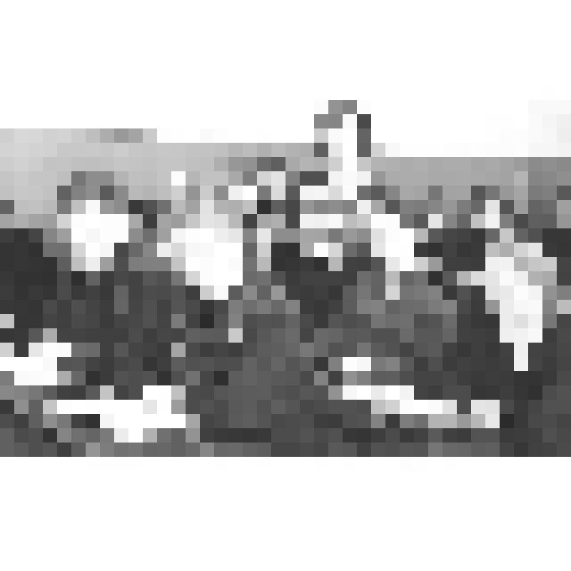 Негатив. Казань. Школа № 24. На уроке молодого преподавателя литературы Н. И. Коноплёвой