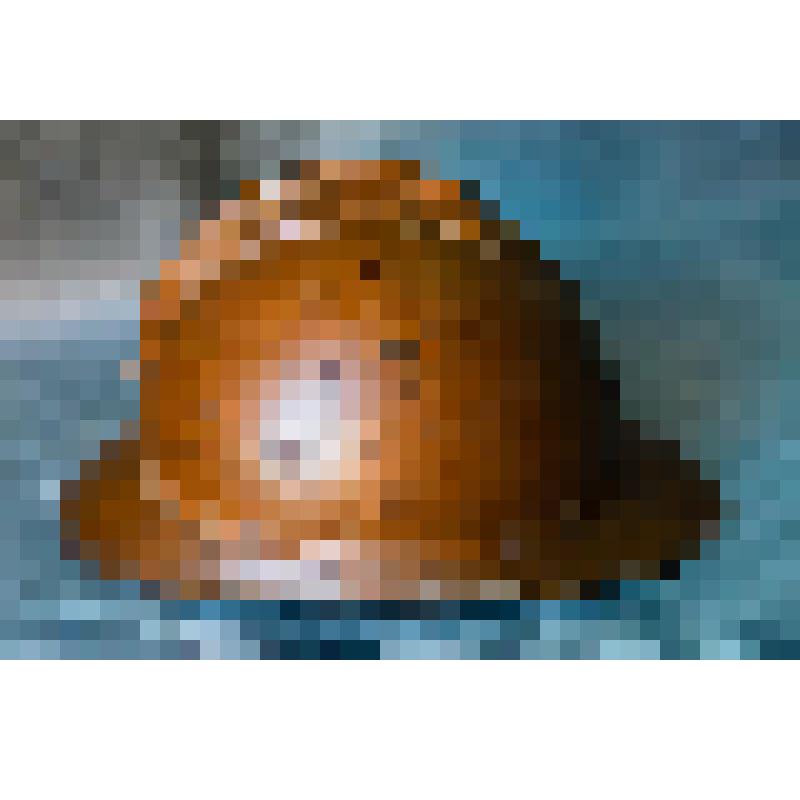Каска