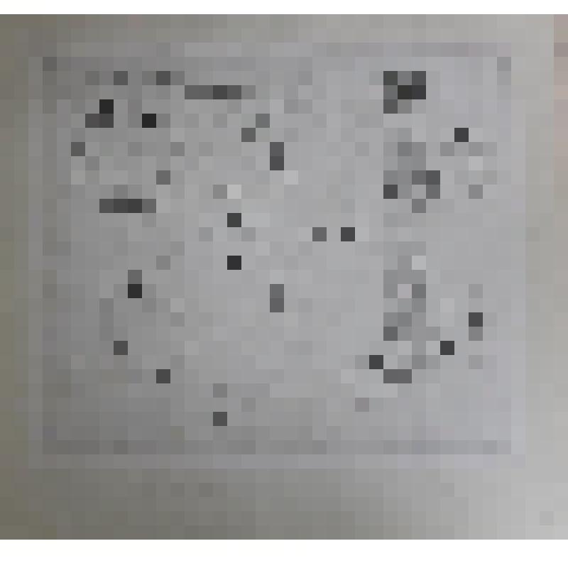 Лист 5. Из серии "По мотивам рассказов А.П. Чехова" рассказ "Дочь Альбиона". Офорт