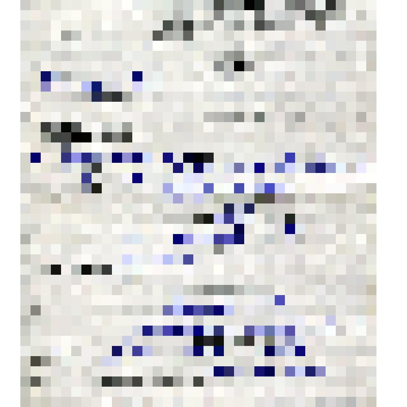 Документ. Справка врачебно-трудовой экспертной комиссии (ВТЭК) Дудоладова М.Е., инвалида третьей группы. Серия ВТЭ-109, № 034330