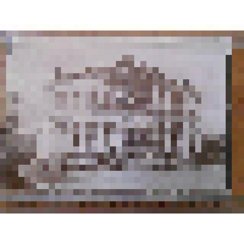 Иран, г. Тегеран. Парк Эминет-Довле. Общ. вид здания в парке. Д.И. Ермаков