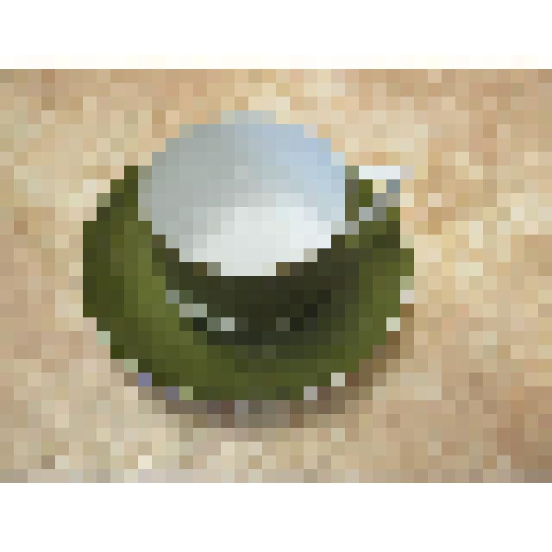 блюдце к чашке