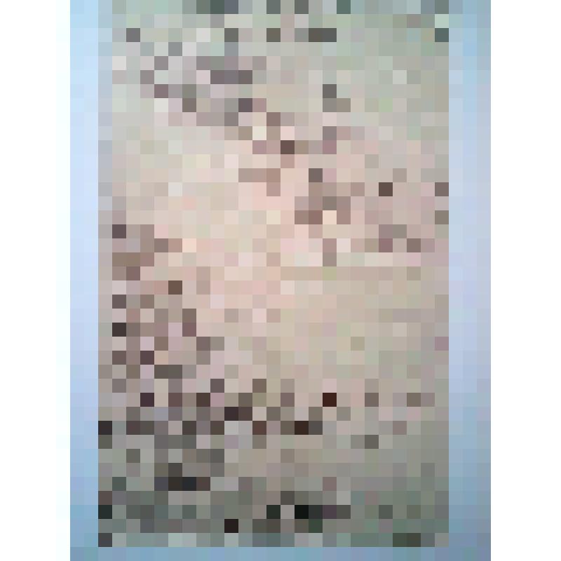 Письмо к А.Н. Тарасенковой и Марии, няне Тарасенковых