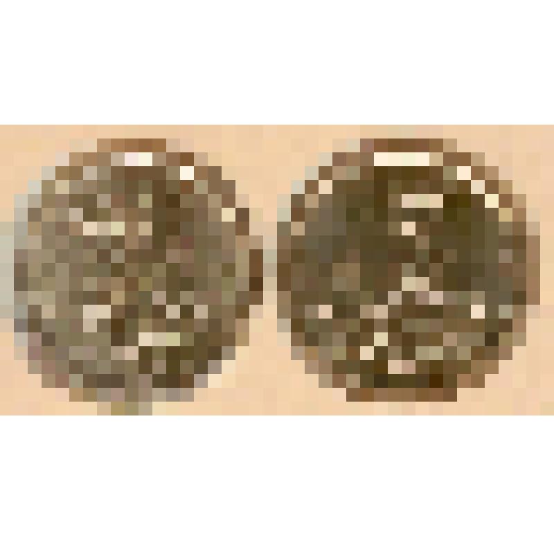 Монета. 5 копеек. Из альбома «ГУ Банка России по Саратовской области»