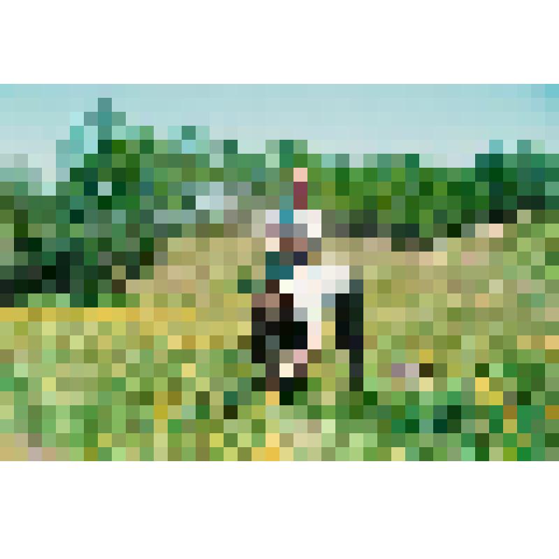 Фотография. Представители организации "Экологическая вахта Сахалина" на посадке леса в окрестностях города Южно-Сахалинска