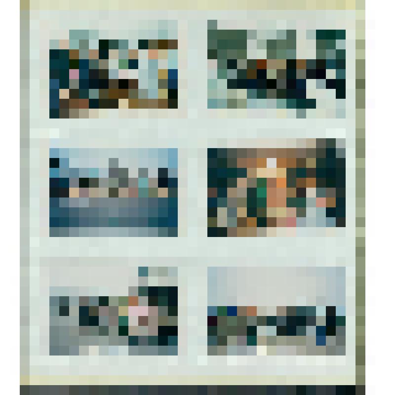 Альбом. Безвизовая поездка Курильчан на о.Хоккайдо в июне 1992г
